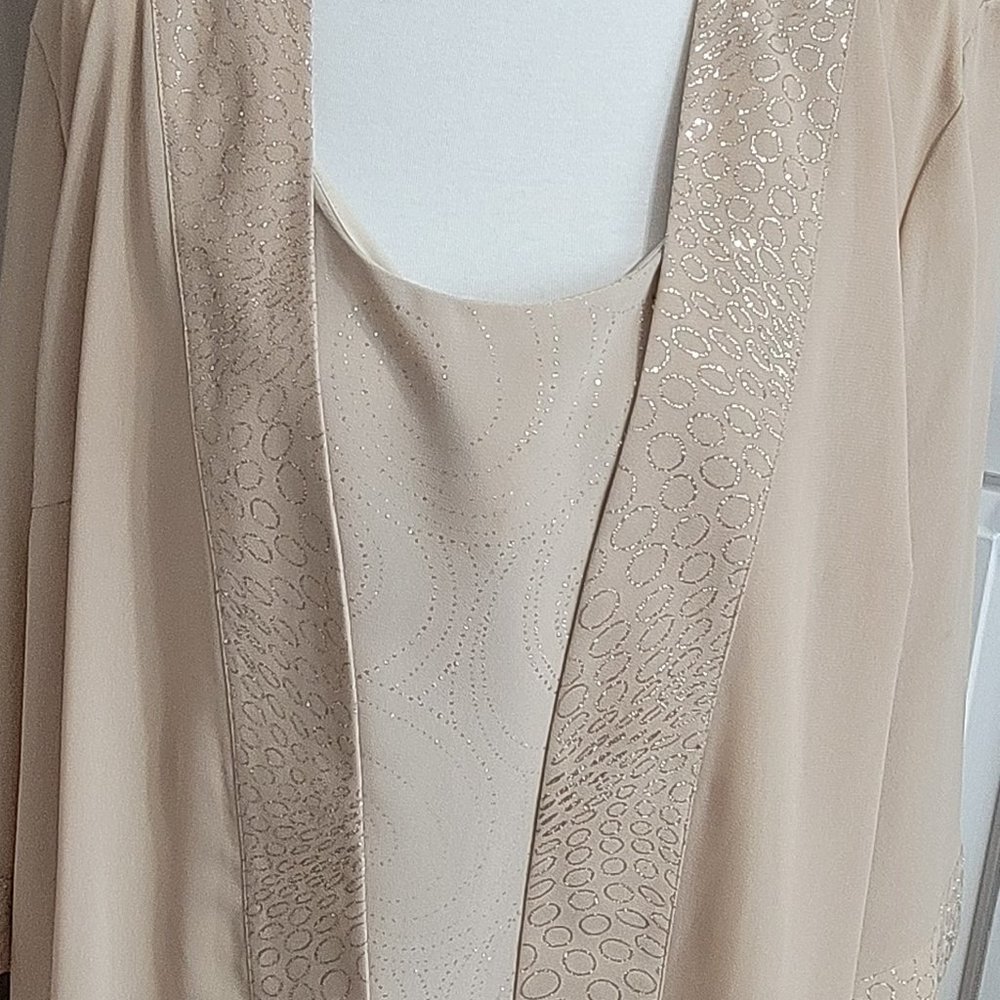 Gold Dressy Shell and Cover